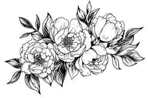 ancien floral esquisser baroque jardin illustration avec Rose et pivoine fleurs. vecteur