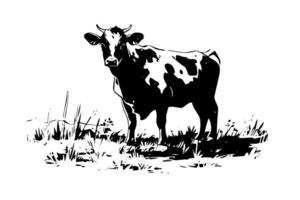 noir vache sur le herbe silhouette pour Viande industrie ou Les agriculteurs marché main tiré timbre effet illustration. vecteur