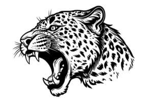 léopard tête logotype ou mascotte main tiré encre esquisser. gravure style illustration. vecteur