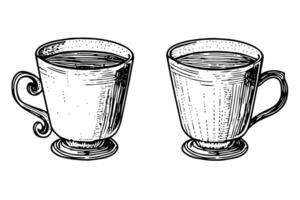 ensemble de ancien tasses ou des tasses main tiré encre esquisser. gravé style illustration. vecteur