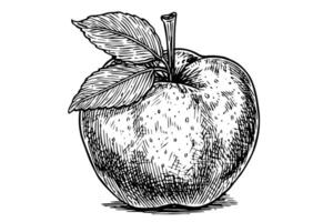 Pomme dessin encre esquisser. gravé style rétro illustration. vecteur
