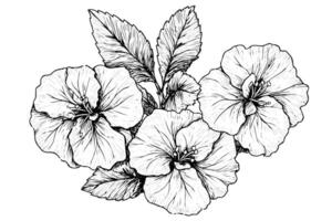 hibiscus fleur main tiré encre esquisser. gravé style illustration. vecteur