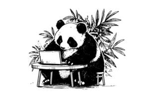 Panda travaux sur une portable main tiré encre esquisser. illustration. vecteur