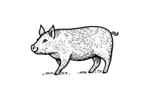 ancien porc esquisser dessiné à la main illustration de ferme animal. vecteur