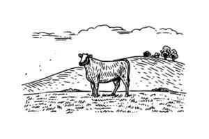 ancien ferme la vie dessiné à la main illustration de laitier bétail pâturage dans le pâturage. vecteur
