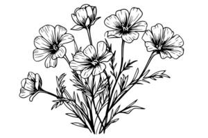 sauvage fleur main tiré encre esquisser. gravé rétro style illustration. vecteur