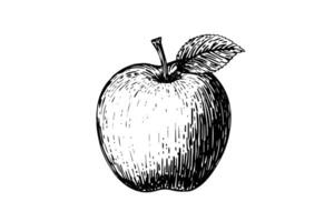 ancien dessiné à la main Pomme arbre esquisser rétro illustration de Frais fruit. vecteur