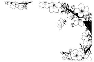 Sakura fleur branche frontière main tiré encre esquisser. gravé style illustration. vecteur