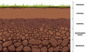 infographie de la couche de sol, formation géologique de la terre vecteur