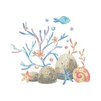 mer coraux, algues, coquilles, étoile de mer, poisson, bulles. aquarelle illustration main tiré dans corail, turquoise et bleu couleurs. composition isolé de le Contexte vecteur