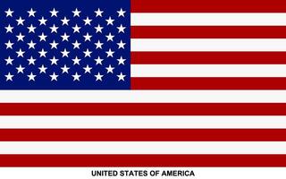 drapeau de uni États de Amérique, uni États de Amérique nationale drapeau vecteur