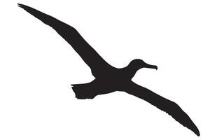 silhouettes de oiseau albatros, albatros oiseau silhouette illustration vecteur