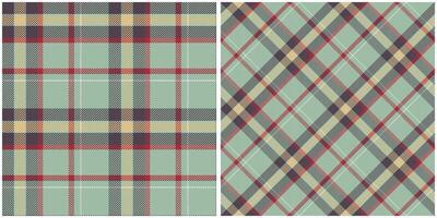 Écossais tartan modèle. vichy motifs pour foulard, robe, jupe, autre moderne printemps l'automne hiver mode textile conception. vecteur