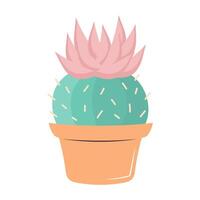 mignonne cactus dans une pot. épanouissement succulent. illustration isolé sur blanc Contexte. vecteur