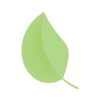 botanique vert feuille icône dessin animé de botanique vert feuille vecteur