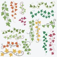 lierre floral dessinant une collection de design plat d'ornement décoratif. vecteur