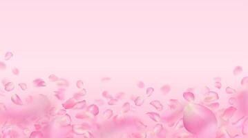 rose Rose pétales modèle. en volant réaliste volumineux flou Sakura pétales avec brouiller effet. printemps fleur illustration pour arrière-plan, fond d'écran, bannière, romantique salutation carte. vecteur