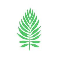 vert feuille. feuilles icône sur isolé Contexte. collection vert feuille. éléments conception pour naturel, éco, végétalien, bio Étiquettes vecteur