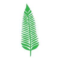 vert feuille icône. feuilles icône sur isolé Contexte. collection vert feuille. éléments conception pour naturel, éco, végétalien, bio Étiquettes vecteur