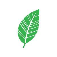 vert feuille icône. feuilles icône sur isolé Contexte. collection vert feuille. éléments conception pour naturel, éco, végétalien, bio Étiquettes vecteur