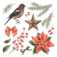 Noël ensemble avec oiseau, sapin branches, poinsettia, rouge baies. aquarelle Noël et botanique ensemble dans ancien style. collection pour Noël et Nouveau année vacances, faire-part, cartes, décorations vecteur