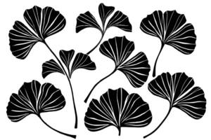 dessin de ginkgo biloba plante noir silhouette vecteur