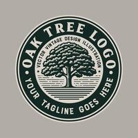 chêne arbre logo badge conception ancien illustration vecteur