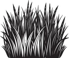 illustration de une herbe silhouette noir et blanc vecteur