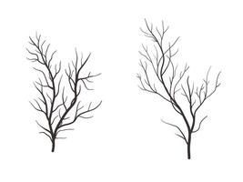 ensemble de mort arbre illustration. brindille sans pour autant feuilles vecteur