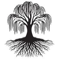 une saule arbre avec visible racine illustration dans noir et blanc vecteur