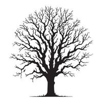 une large cendre arbre illustration dans noir et blanc vecteur