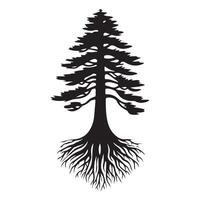 une séquoia arbre avec les racines illustration dans noir et blanc vecteur
