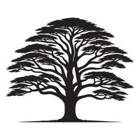 une large cèdre arbre illustration dans noir et blanc vecteur