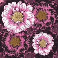 motif floral sans couture avec des fleurs de zinnia vintage rose couleur noire abstract background.vector illustration line art.for tissu motif imprimé dsign. vecteur