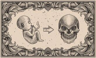 illustration née à mourir, fœtus et crâne sur gravure ornement Cadre - eps dix vecteur