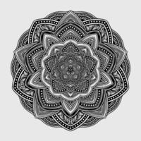 magnifique floral modèle mandala art isolé sur une noir Contexte - eps dix vecteur