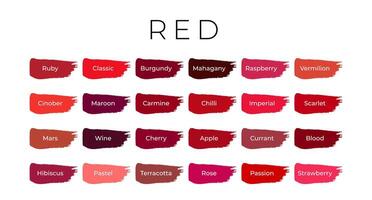 rouge peindre Couleur échantillons avec ombre des noms sur brosse coups vecteur