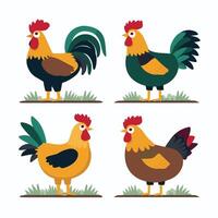 poulets ensemble illustration dans couleur. marron et blanc poule et coq. Masculin et femelle poulets vecteur