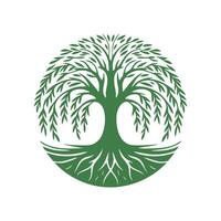 racine arbre logo. racine de le arbre logo symbole illustration conception, chêne arbre ancien logo conception vecteur