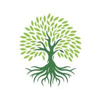 racine arbre logo. racine de le arbre logo symbole illustration conception, chêne arbre ancien logo conception vecteur