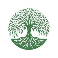 racine arbre logo. racine de le arbre logo symbole illustration conception, chêne arbre ancien logo conception vecteur