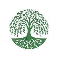 racine arbre logo. racine de le arbre logo symbole illustration conception, chêne arbre ancien logo conception vecteur