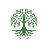racine arbre logo. racine de le arbre logo symbole illustration conception, chêne arbre ancien logo conception vecteur