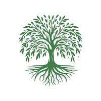 racine arbre logo. racine de le arbre logo symbole illustration conception, chêne arbre ancien logo conception vecteur
