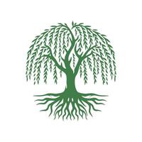 racine arbre logo. racine de le arbre logo symbole illustration conception, chêne arbre ancien logo conception vecteur