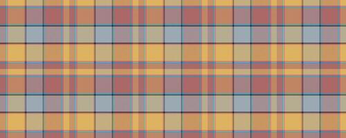 classique tartan plaid sans couture modèle vecteur