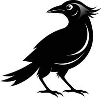 oiseau silhouette Créatif conception vecteur