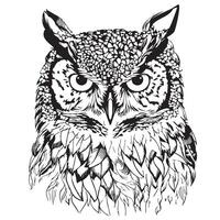 hibou tête sauvage oiseau main tiré esquisser illustration vecteur