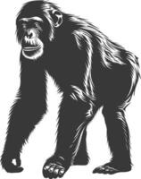 silhouette chimpanzé animal noir Couleur seulement vecteur