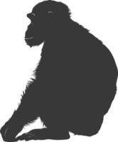 silhouette chimpanzé animal noir Couleur seulement vecteur